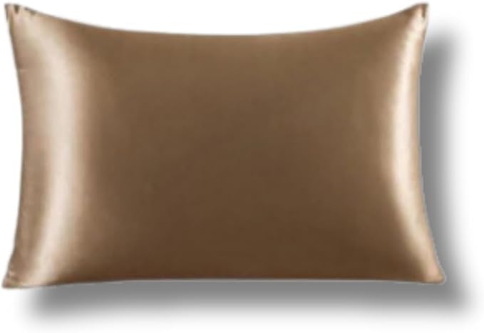 Knitsilk 100% Mulberry Silk Pillowcase – 22 Momme Grade 6A Silk (Copper, Queen Size 75x50 c
