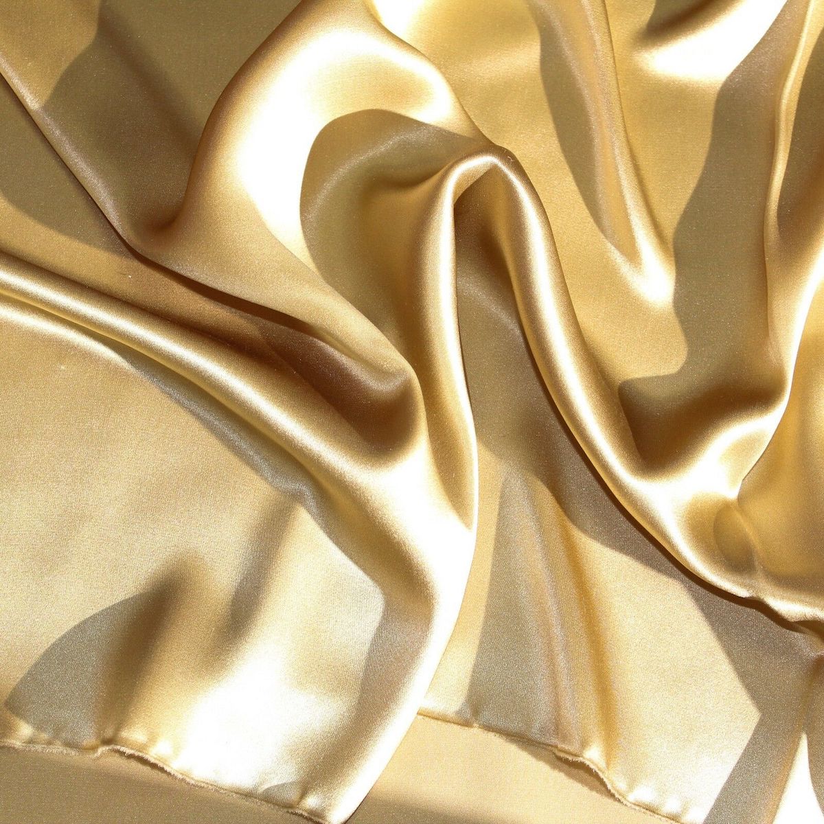 Silk Charmeuse Fabric-33