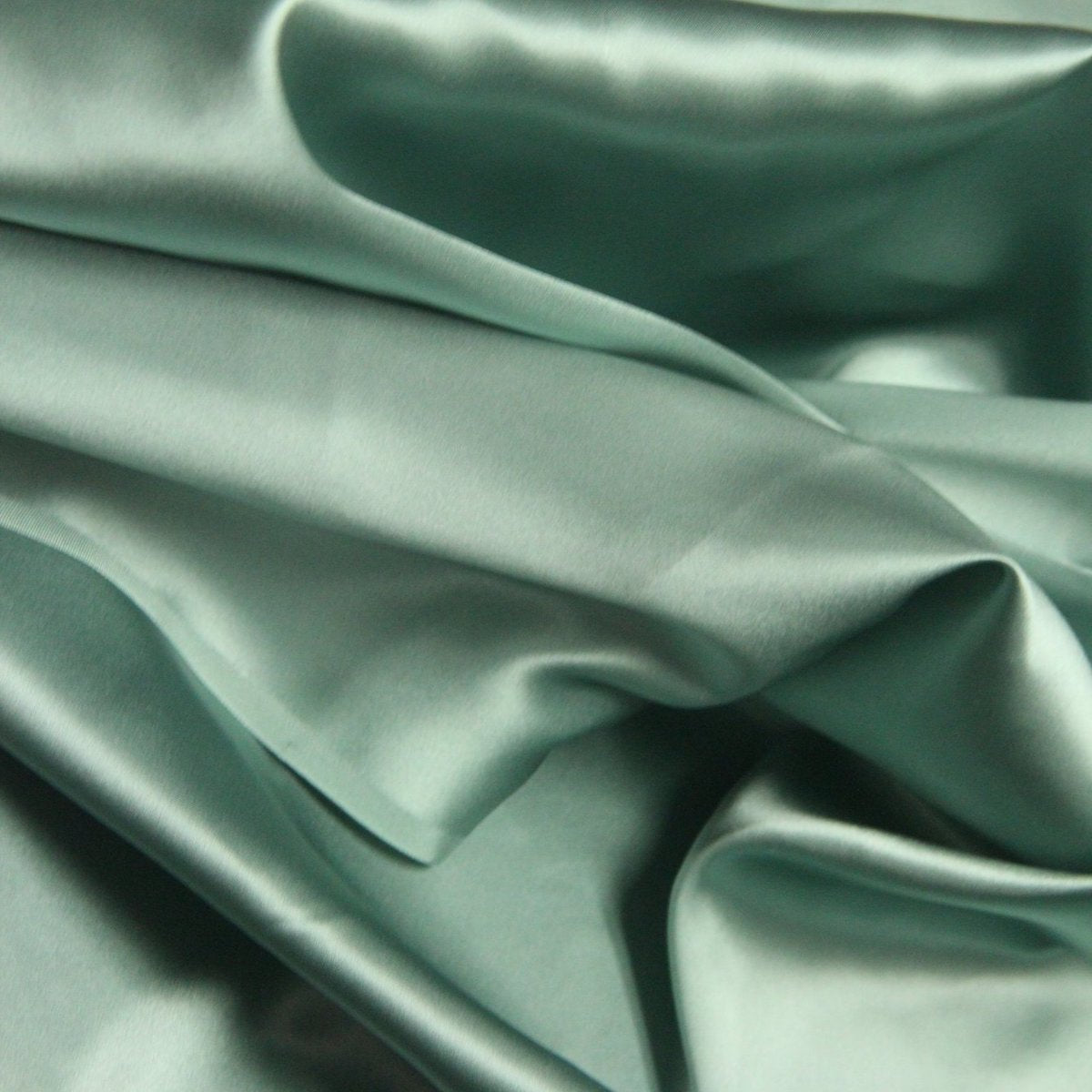 Silk Charmeuse Fabric-14