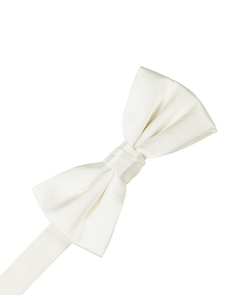 Noble Silk Bow Tie-1