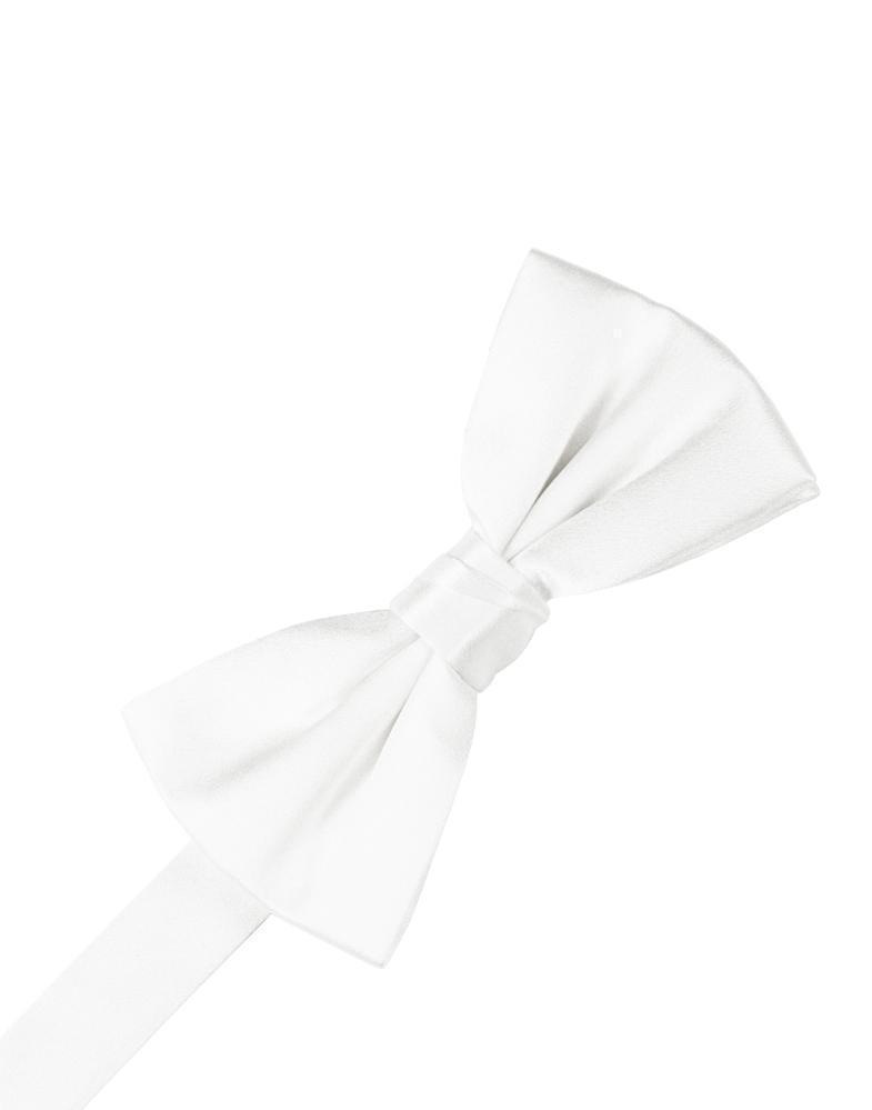 Noble Silk Bow Tie-4